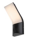 Rabalux Tolna Външно стенно осветление IP54 LED 10W 3000K 77171