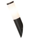 Rabalux Black torch Външно стенно осветление IP44 E27 1x MAX 25W K 8145 - 5