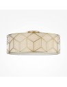 Maytoni Плафониера - H223-PL-05-G