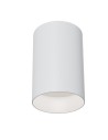 Maytoni Плафониера - C014CL-01W