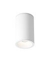 Maytoni Плафониера - C029CL-01-S-W
