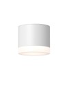 Maytoni Плафониера - C087CL-GX53-W