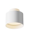 Maytoni Плафониера - C009CW-L12W