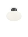 Ideal lux ® Плафон | CLIO MPL1 ANTRACITE | E27 max1 x 42W | IP44 - 148861 - Цена | LEDs4economy
