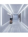 V-TAC 8W LED Лента CREE ЧИП 3000K IP20 24V 5MM DOUBLE PCB - 240806 - 3