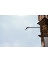 Searchlight® I Външен аплик Pub - черен метал и поликарбонат I 1 x LED - 2340BK - 5