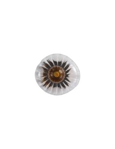 Searchlight® I Аплик Sunbeam, прозрачно и кехлибарено оребрено стъкло I 1 x G9 - 24122-1BK - Цена | LEDs4economy 2