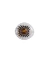 Searchlight® I Аплик Sunbeam, прозрачно и кехлибарено оребрено стъкло I 1 x G9 - 24122-1BK - 2