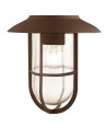 Searchlight® I Външен аплик Toronto - рустик кафяв метал и прозрачно стъкло I 1 x E27 - 3291RUS - 3