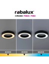 Rabalux Cirano, плафон 24W, 3000, 4000, 6500K, D40, черно - 71360 - 7