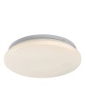 Rabalux Lucas2, плафон 12W, 4000K, D25, 5cm - 71501