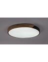Rabalux Maple2, плафон 42W, 3000, 4000, 6500K, черноIP40 - 71418 - 5