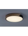 Rabalux Maple2, плафон 24W, 4000K, D41, мат черно.IP40 - 71416 - 3