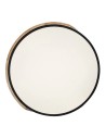 Rabalux Maple2, плафон 24W, 4000K, D41, мат черно.IP40 - 71416 - 4