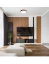 Rabalux Maple2, плафон 24W, 4000K, D41, мат черно.IP40 - 71416 - 9