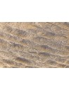 Rabalux 71525 Timmo, плафон, 24W, 3000-6500K, D40, сивобежово - 7