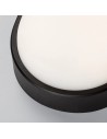 Rabalux 77221 Hort2, аплик, 14W, 4000K, L21cm, IP54, черно - 4