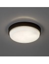 Rabalux 77223 Hort2, аплик, 14W, 4000K, D19cm, IP54, черно - 3
