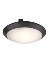 Rabalux 77234 Welro, плафон, E27 1x9W, D30cm, черно, IP65