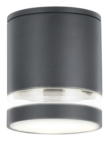 7817 Zombor, външна метална лампа за таван с прозрачен абажур, светлина надолу D10,2xH12cm, GU10 1xMAX 35W, антрацит, IP54